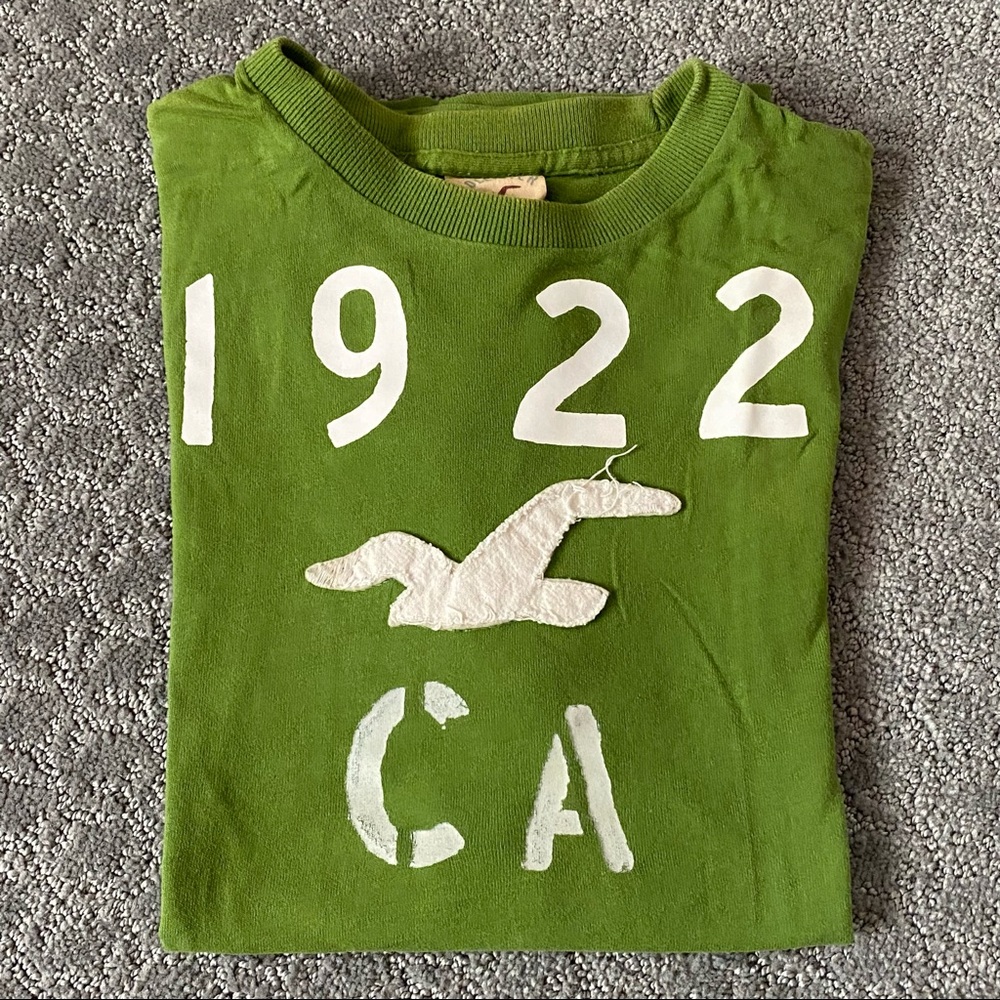 Hollister Men’s Green Logo T-Shirt